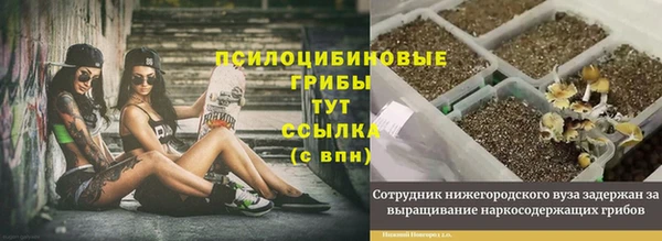 ешки Верхний Тагил